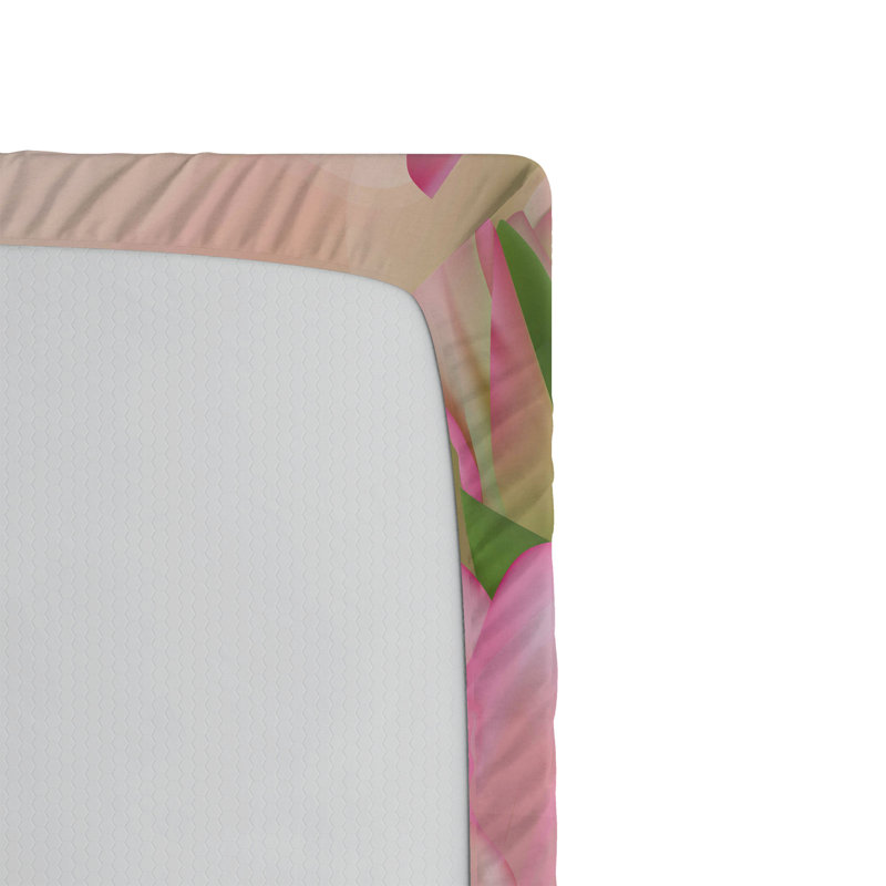 Ensemble de 2 draps-housses Ambesonne, Drap-housse grand
