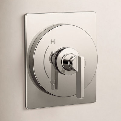 Castia Rite-Temp Valve Trim