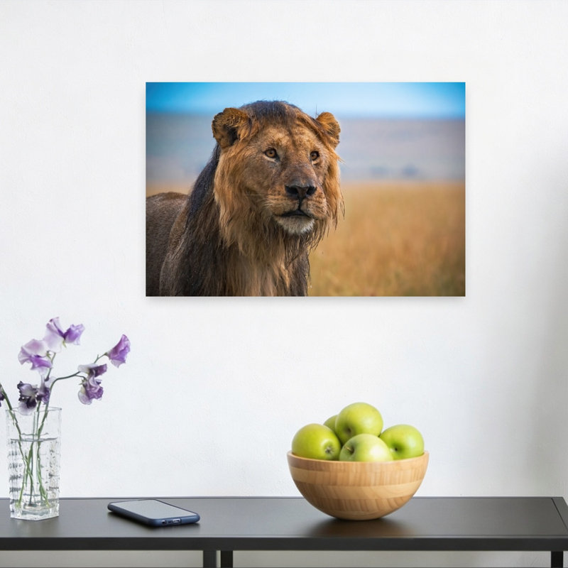 Savannah King Contemporary Wall Art Print 1 Piece Wrapped Canvas Wall Art, 30.48cm H x 45.72cm W