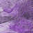 Abstract Indoor / Outdoor Rug-570004412