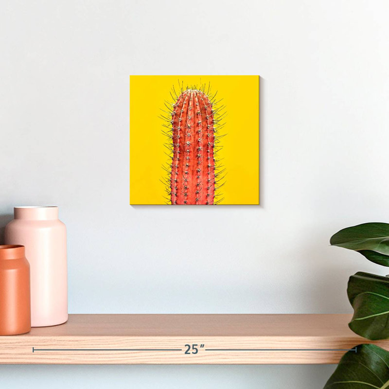 Cactus orange Harnek, H 10 po x l 10 po