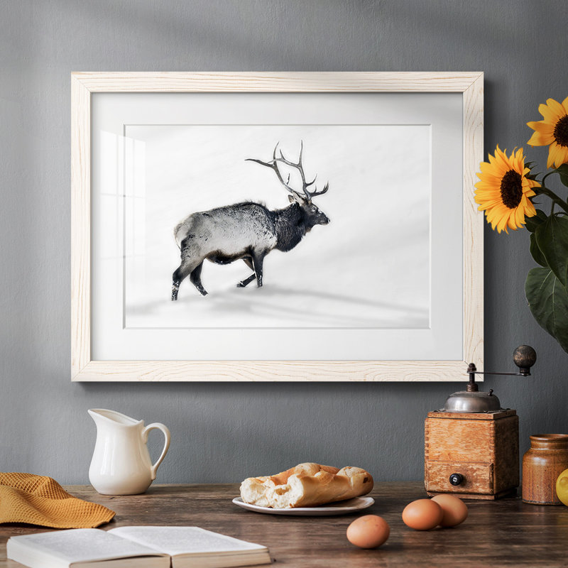 Lone Bull encadré sur papier, Blanc, H 28 po x l 42 po x P 1,5 po