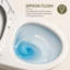 Toilette une pièce sans rebord | Double chasse allongée avec siège confortable et hauteur incluse - blanc