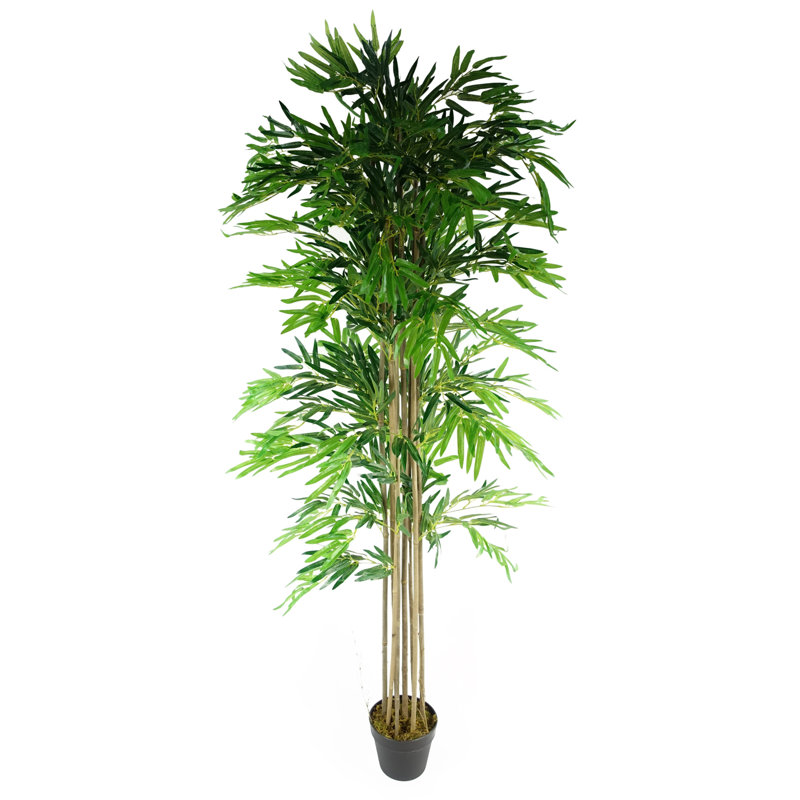 Annistyn 180cm Faux Bamboo Tree in Pot