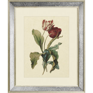 Tulips III - Single Picture Frame Print on Canvas