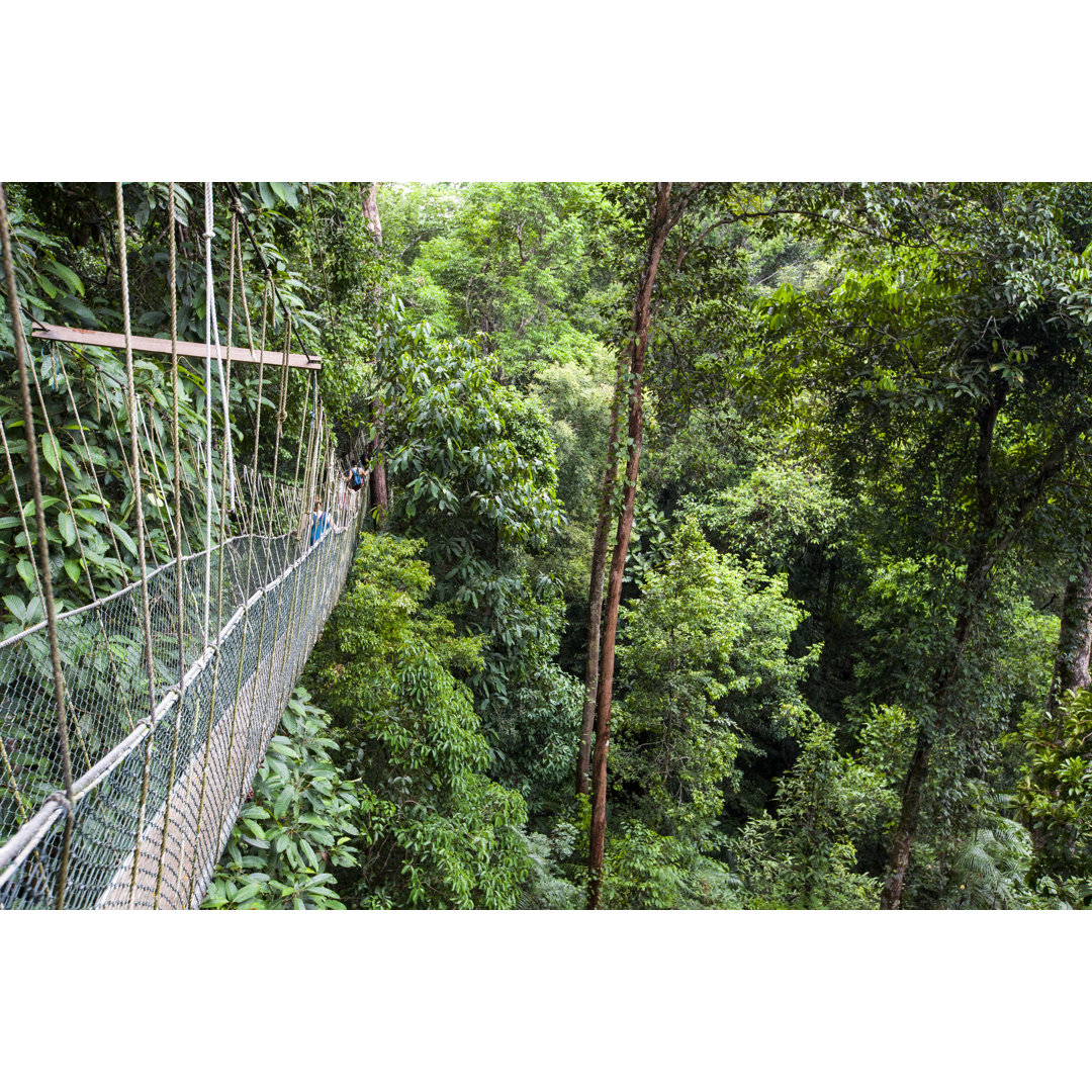 Hängebrücke des Canopy Walk von Abdelrahman M Hassanein - Leinwandfoto im Wickel