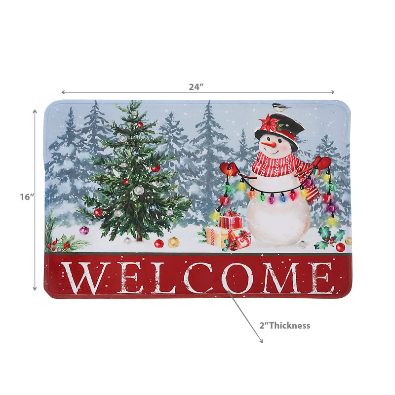 Tapis de porte d'intérieur 24 po x 16 po Andan