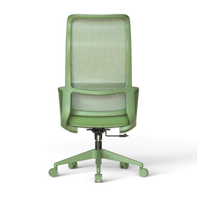Ergonomic Colorful Office Chair 350LBS Home Office Mesh Breathable High Back, With Adjustable Lumbar Support Computer Chair, Integrated Molded Foam Seat Cushion, Fireproof