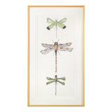 Joy Colangelo Joyful Dragonflies I Framed Print Canvas