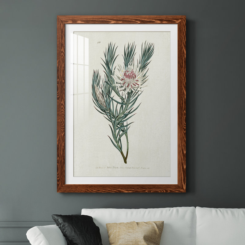 Protea N33 - Peinture encadrée, H 37,5 po x l 27,5 po x P 1,5 po, Érable