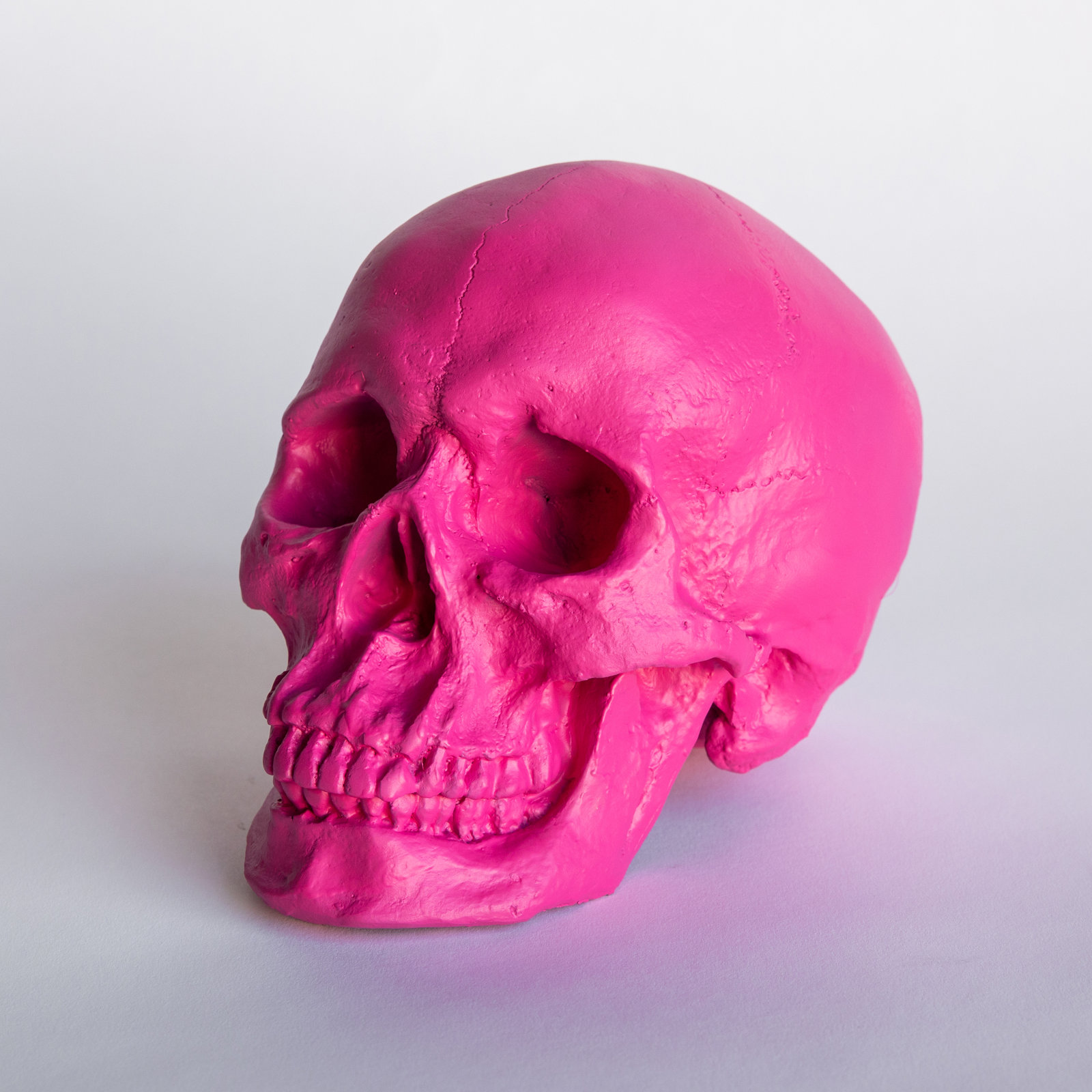 Muscogee Replica Faux Taxidermy Human Skull Figurine, Hot Pink