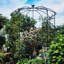 Pavillon de jardin en métal en forme d'arche de jardin en forme de cage de pergola DiaHigh