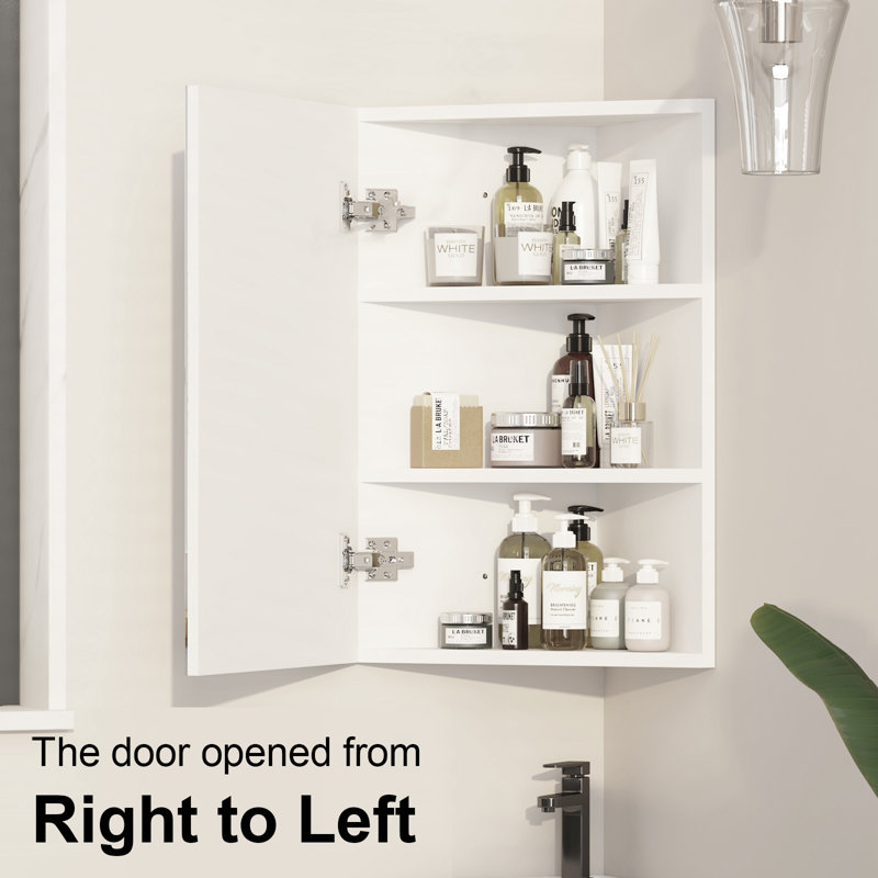 Stamo 40mm W 60mm H Medicine Cabinet Mirror 3 Fixed
