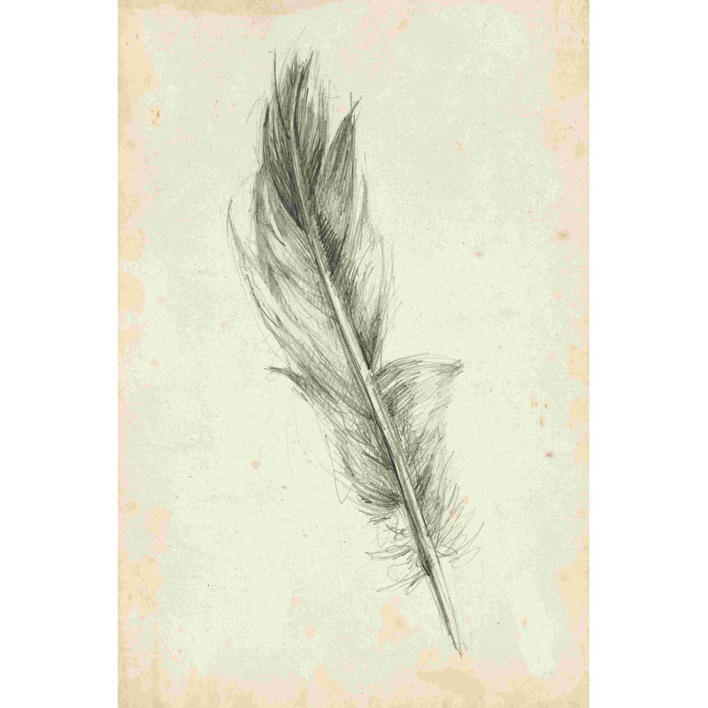 Croquis de plumes IV, H 18 po x l 12 po