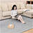 Davyn Faux Fur Indoor Rug-753739393