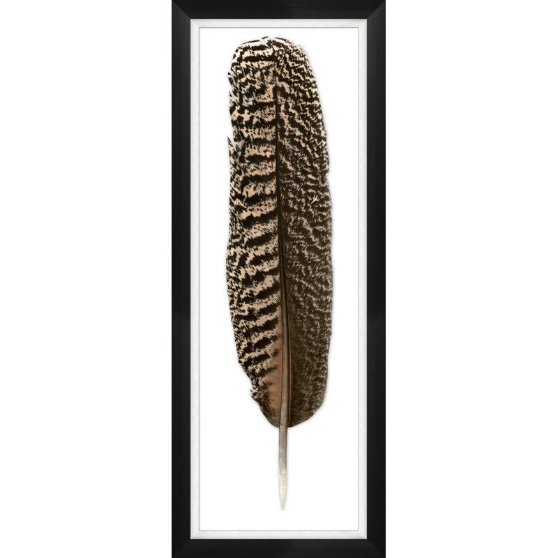 Mottled Peacock Feather 1 Print