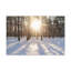 No Frame Print on Canvas-1459706127