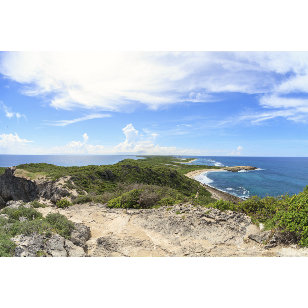 Die Insel Guadeloupe von Efenzi - Druck auf Leinwand ohne Rahmen