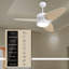 Ventilateur de plafond intelligent à DEL d'intérieur avec télécommande 52 po Light Pro