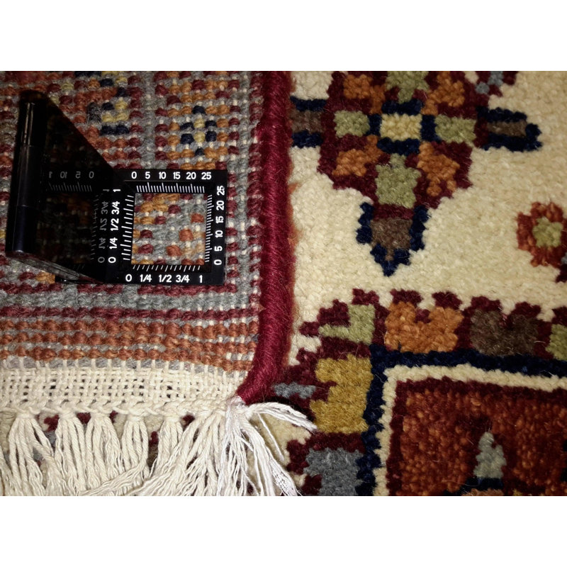 Oriental Area Rug in Orange