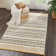 Beacham Southwestern Area Rug