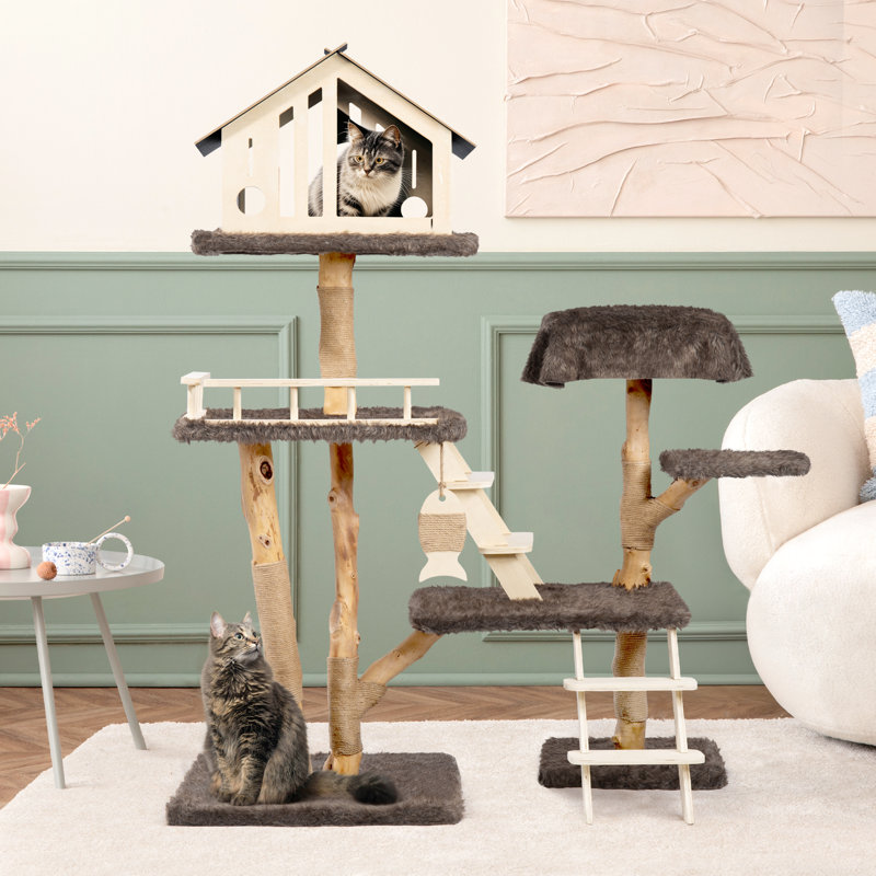 Maison de chat pour chats d'intérieur
