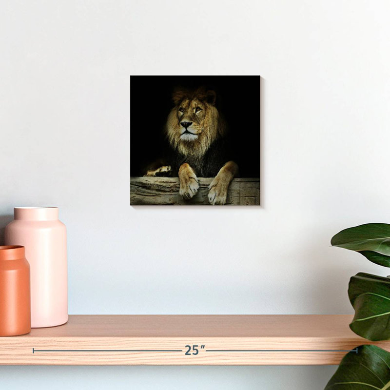 Brampt Imperious Lion, 10" H x 10" W