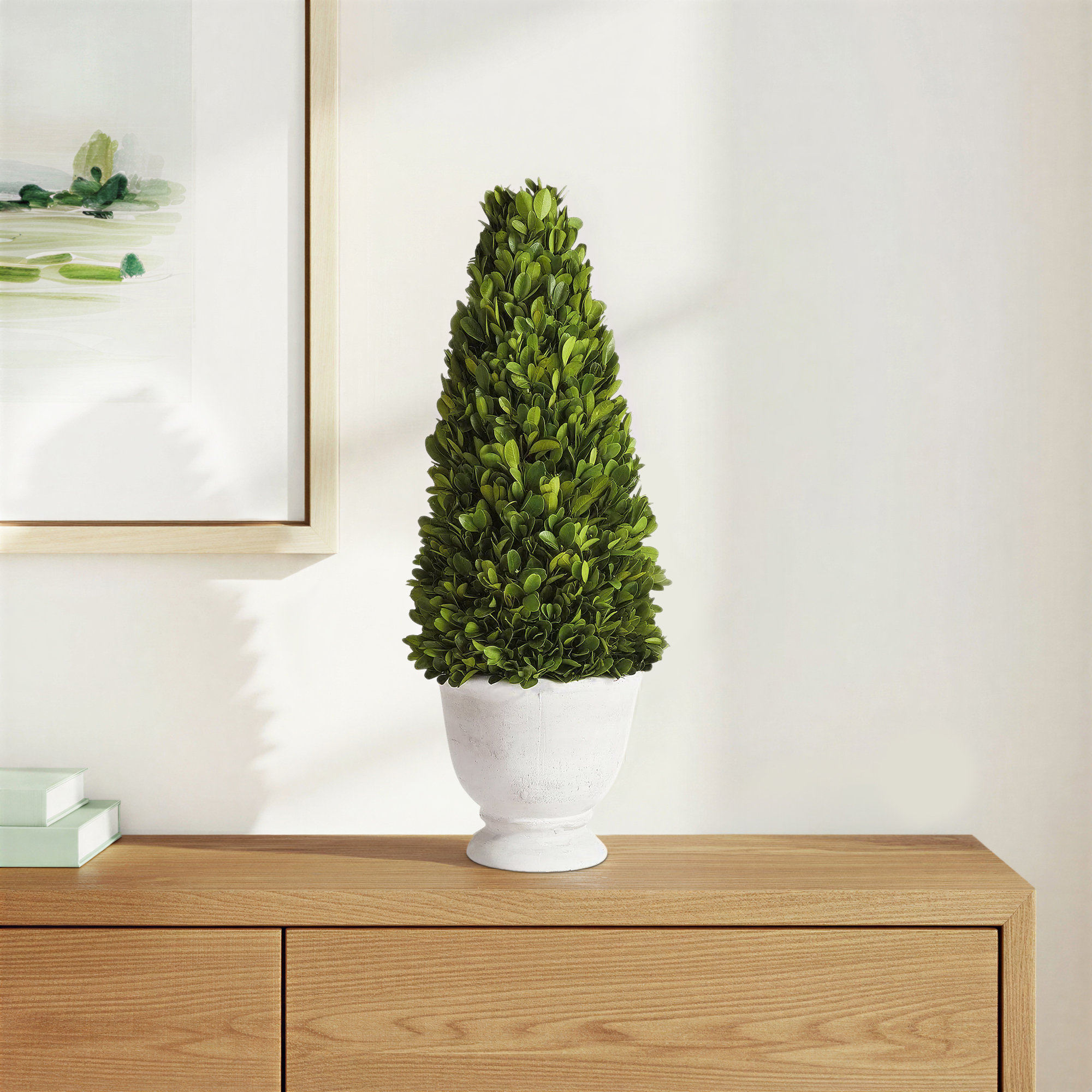 20'' Boxwood Topiary in Ceramic Pot