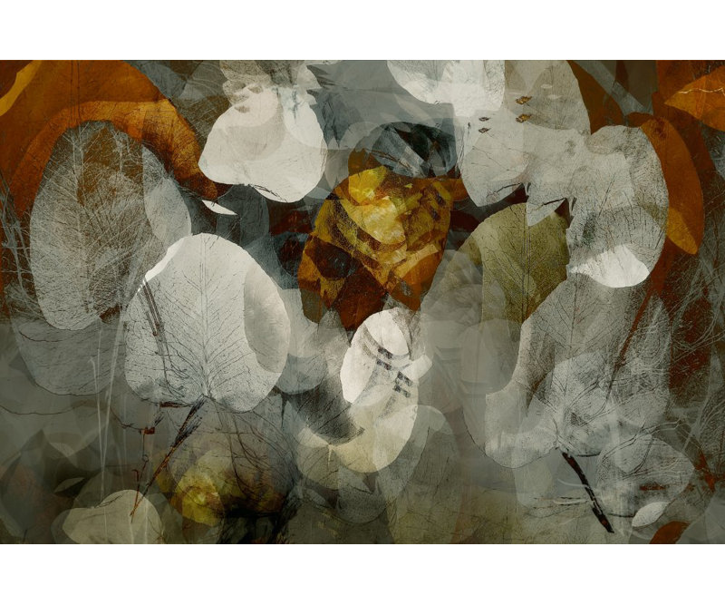 1 Piece Wrapped Canvas Wall Art, 50.8cm H x 76.2cm W