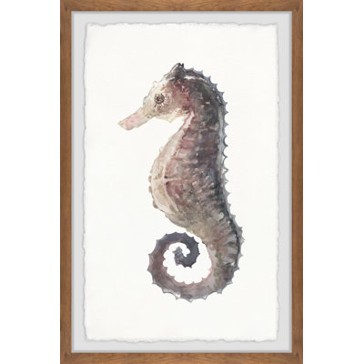 Stiff Seahorse 1 Piece Single Picture Frame Painting