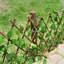 Plastic；Wood Folding-1374124850