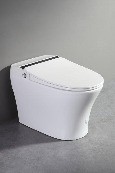 Smart Toilet & Seat