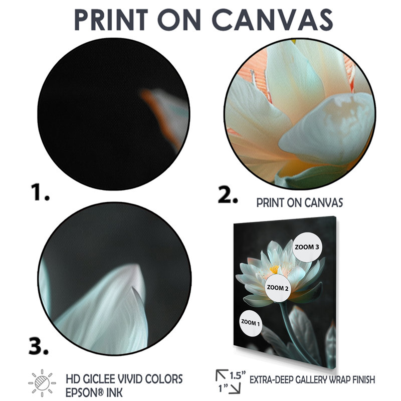 «White Crystal Lotus Garden Oasis Photo II», reproduction d'art mural Lotus, Cadre simple noir, H 30 po x l 40 po