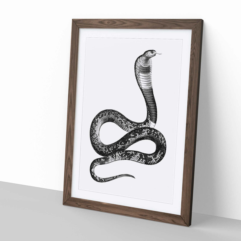 Viper Snake Illustration - Picture Frame Graphic Art Print, 50cm H x 35cm W x 2cm D, Walnut
