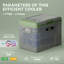 Brayden 40L Car Refrigerator Portable Compressor Fridge Light Green/Grey
