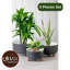 Ensemble de 3 pots à fleurs en plastique pour plantes avec trou de drainage Ginza Maison -115744815