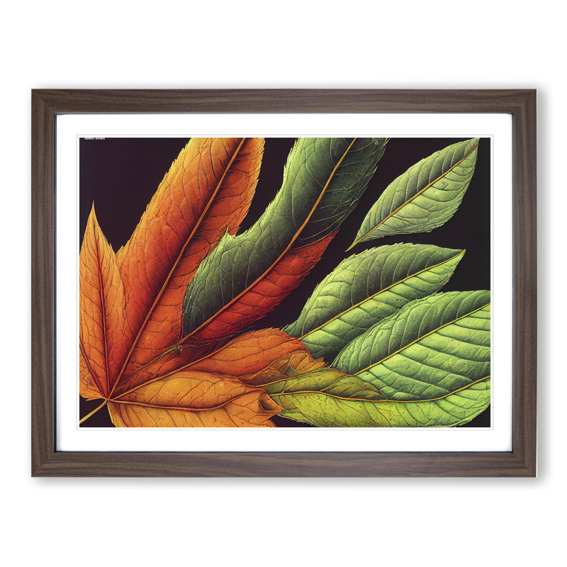 Extravagant Leaf - Single Picture Frame Print, 34cm H x 46cm W x 2cm D, Walnut