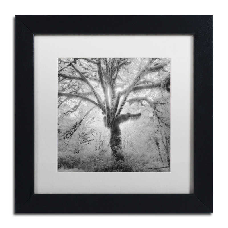 «Lightning Tree II» par Moises Levy - reproduction de photo sur toile encadrée, H 16 po x l 16 po x P 0,5 po, Blanc mat