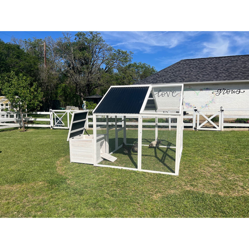 White and Black Wooden Chicken Coop with Nesting Box