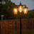 Seeded Lamp Post (Full)