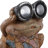 12" Frog With Solar Goggles, Multi