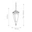 Etheridge 2 - Light Outdoor Hanging Lantern