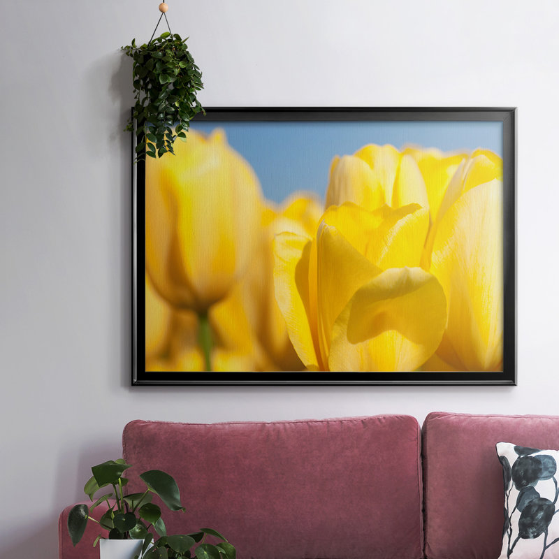 Sunshine Yellow I, reproduction d'art sur toile, Noir, H 30 po x l 44 po x P 1,5 po