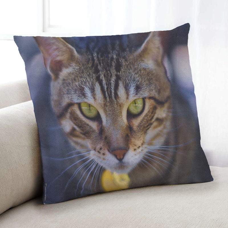 Coussin Cat Cats 55, Microsuède