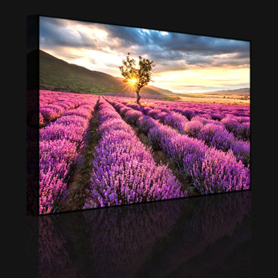 Fantastic Lavender Provence With Lonely Tree by No - Wrapped Canvas Print