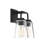 Briley 2-Light Dimmable Vanity Light in Matte Black-1779037953