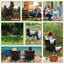 Chaise de camping pliante Shymia