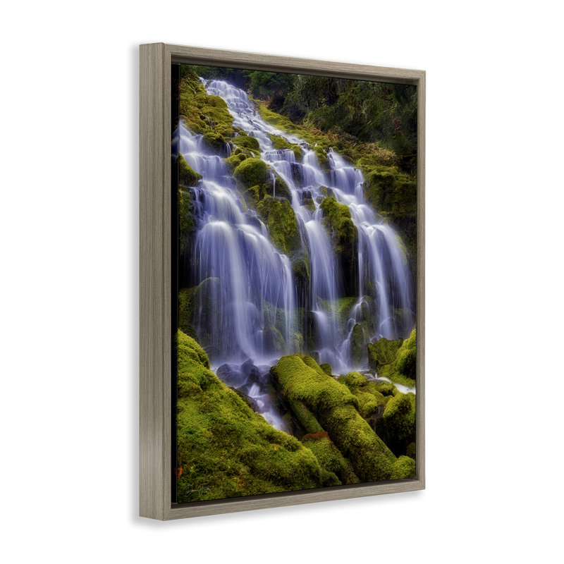 Upper Proxy Falls Floating Frame, design by Dennis Frates, Montalcino Elm Floater Framed, 31" H x 25" W