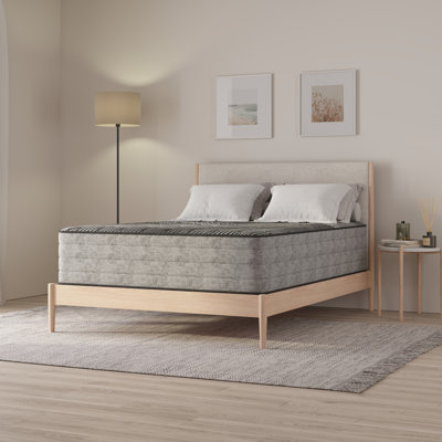 14" Pure Ice Plush Quilted Mattress by Alwyn Home