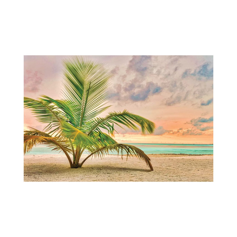 Sunset Palm by Mark Paulda - Print on Canvas, 45.72cm H x 66.04cm W x 3.81cm D, Wrapped Canvas